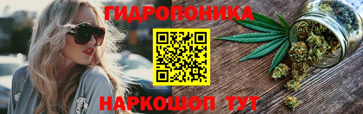 Шишки марихуана White Widow Маркс